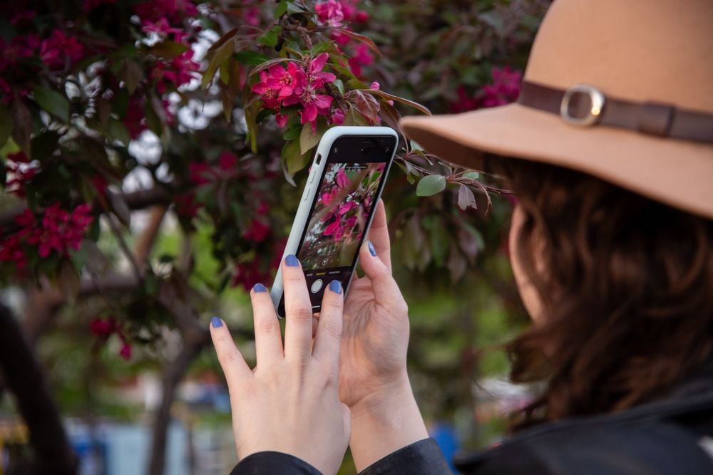 Photography Enthusiasts