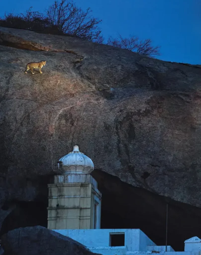 Kavish Jawai Village Resort - Jawai Perwa